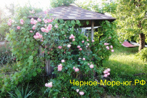 Керчь частный сектор по ул. Генерала Косоногова в мкр. Героевское