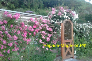Частный дом «На Речной»  в Небуге