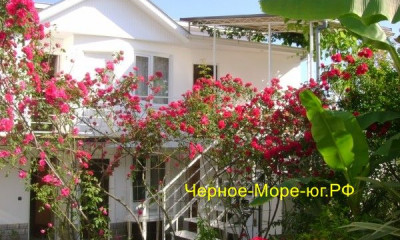 Мини-отель «Итинисан» (1 2 3) Адлер, ул. Фермерская, 14 Мини-отель «Итинисан» (1 2 3) Адлер, ул. Фермерская, 14