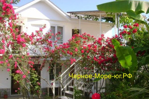 Мини-отель «Итинисан» (1 2 3) Адлер, ул. Фермерская, 14